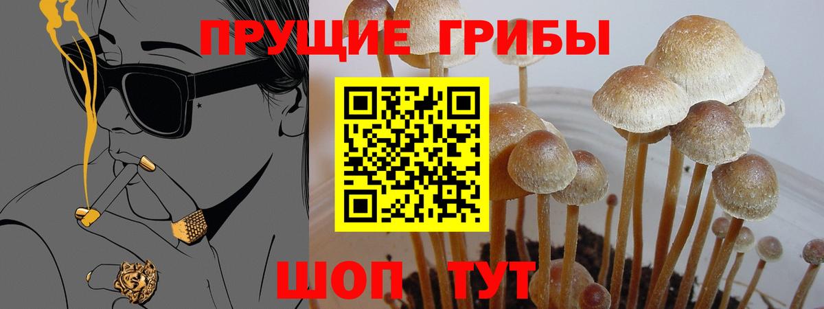 Ефремов  сколько стоит  Вход с VPN  Псилоцибиновые грибы ЛСД 